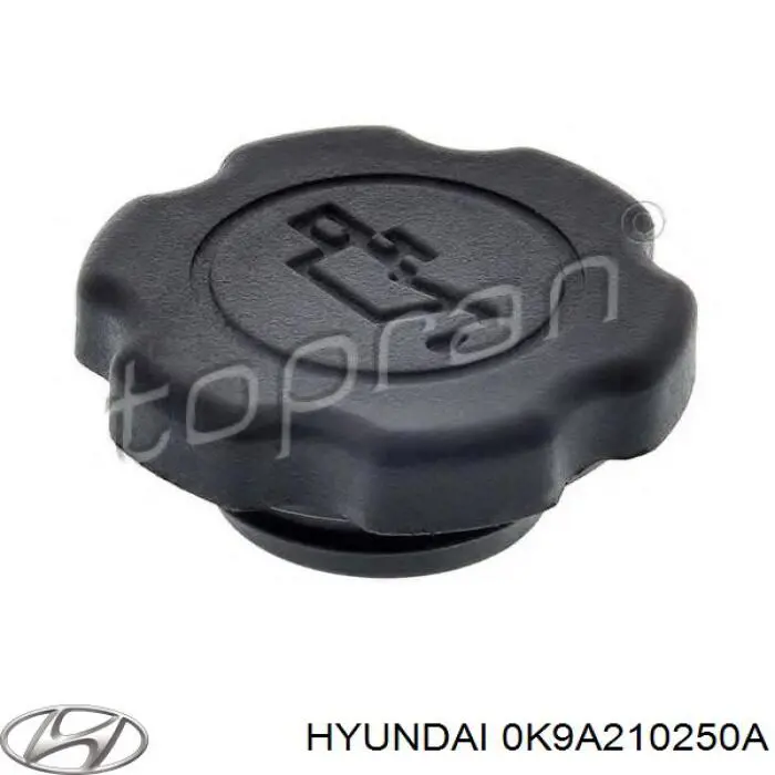 Крышка маслозаливной горловины на Hyundai Sonata EU4
