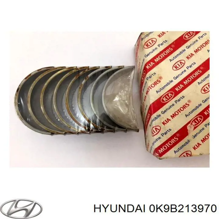 Адсорбер 0K9B213970 Hyundai/Kia