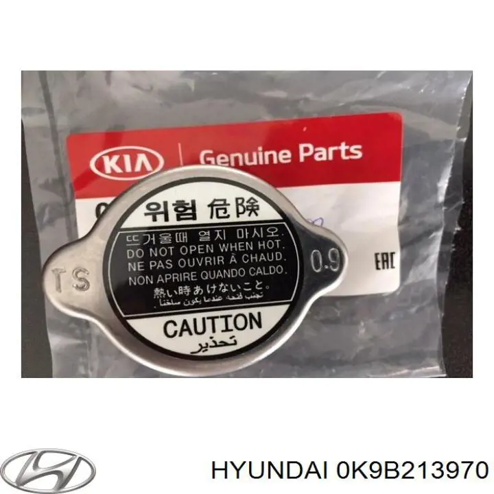 Адсорбер паров топлива Hyundai/Kia 0K9B213970