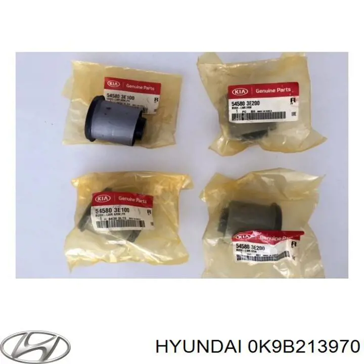0K9B213970 Hyundai/Kia Абсорбер топливных паров
