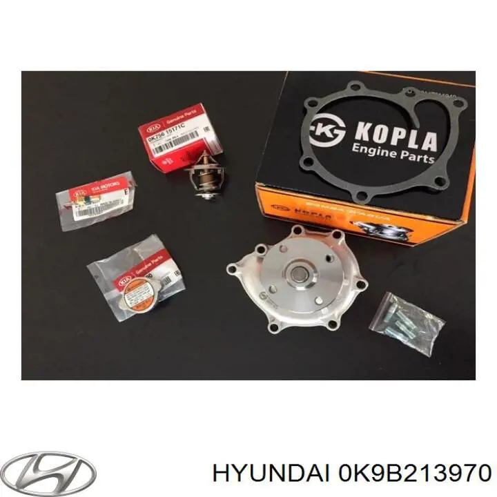 Абсорбер паров топлива Hyundai/Kia 0K9B213970 цена, от 107.34 USD