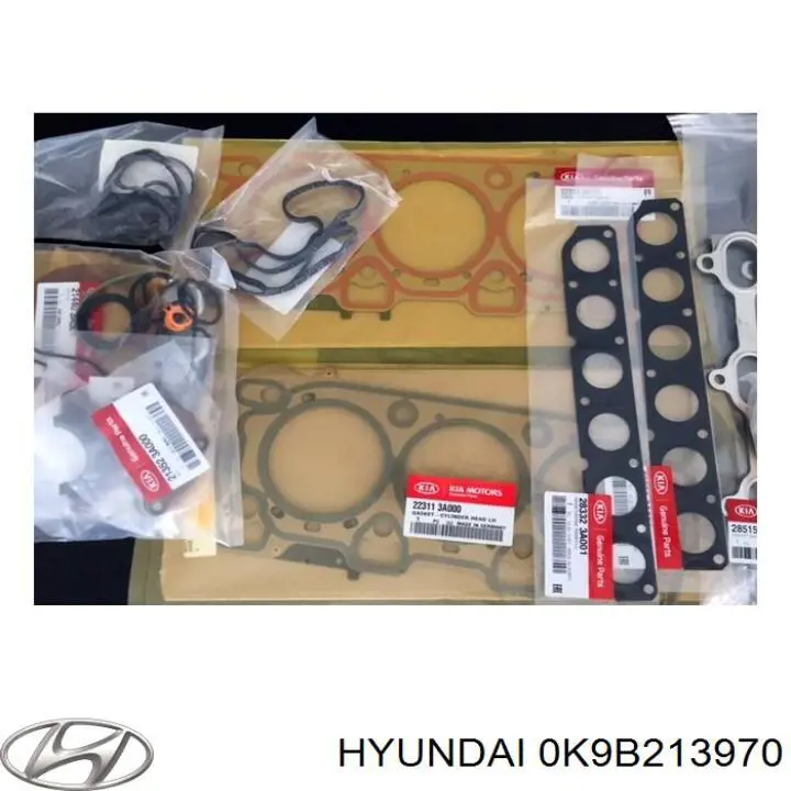 Купить 0K9B213970 Hyundai/Kia Адсорбер