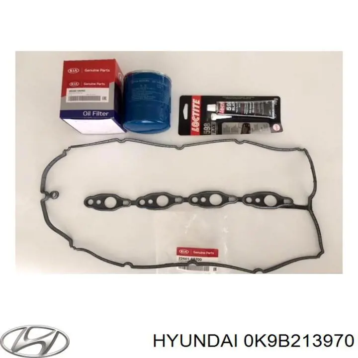 Абсорбер паров топлива Hyundai/Kia 0K9B213970 цена, от 107.34 USD
