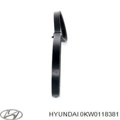 0KW0118381 Hyundai/Kia