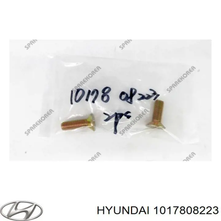  1017808223 Hyundai/Kia