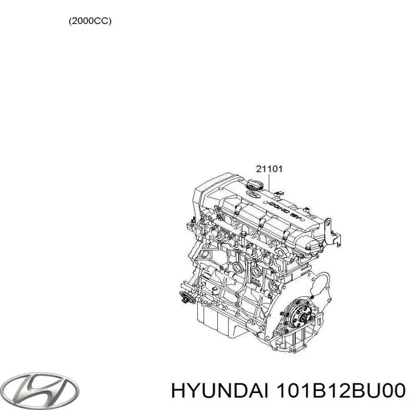 101B12BU00 Hyundai/Kia двигатель в сборе
