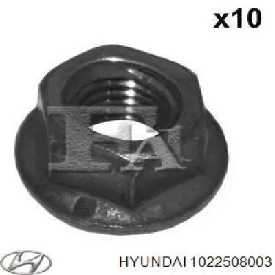 1022508003 Hyundai/Kia