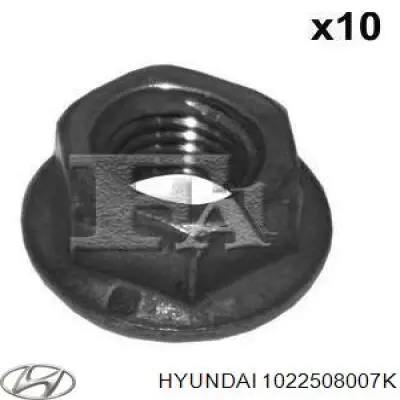 1022508007K Hyundai/Kia