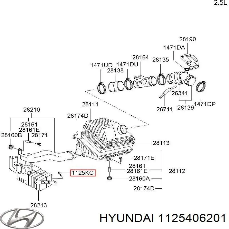 Болт (гайка) крепежа на Hyundai Elantra 