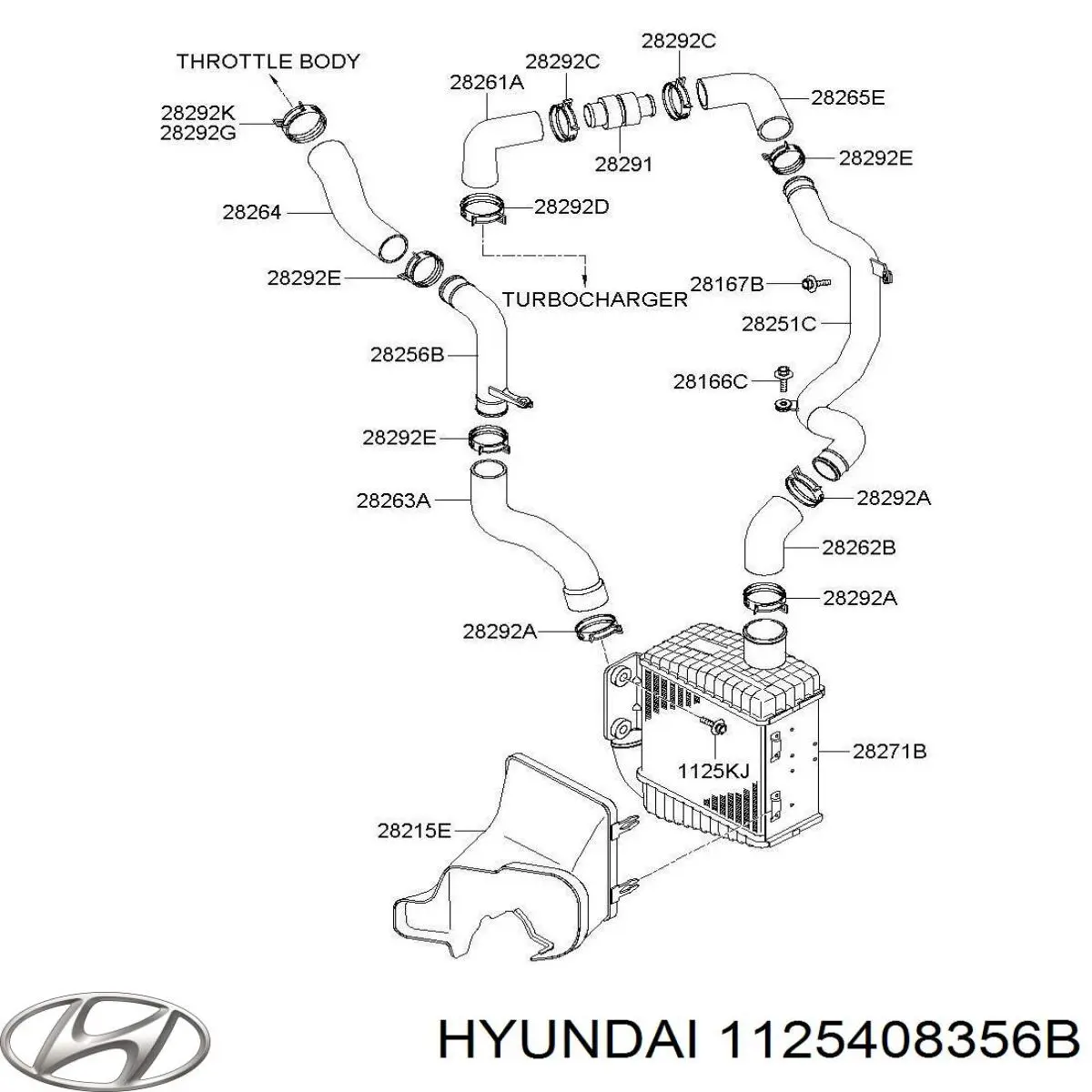  1125408356B Hyundai/Kia