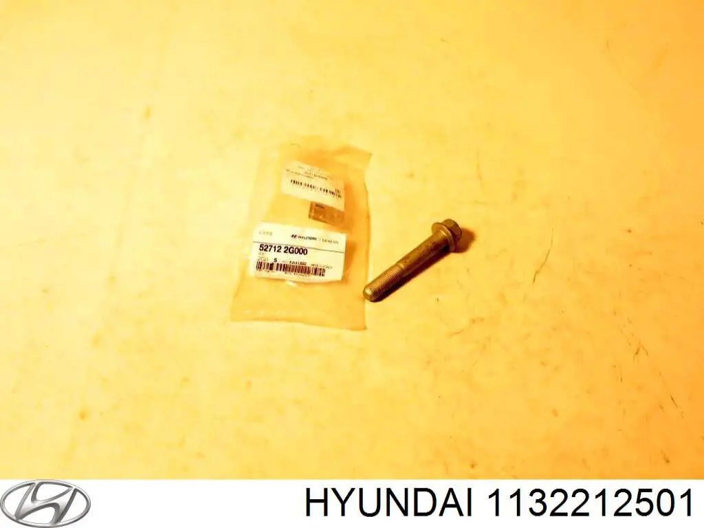  1132212501 Hyundai/Kia