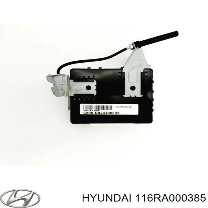  116RA000385 Hyundai/Kia