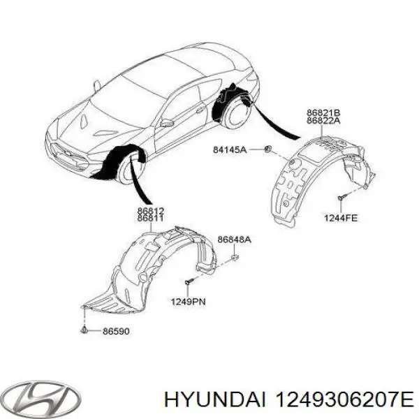  1249306207E Hyundai/Kia