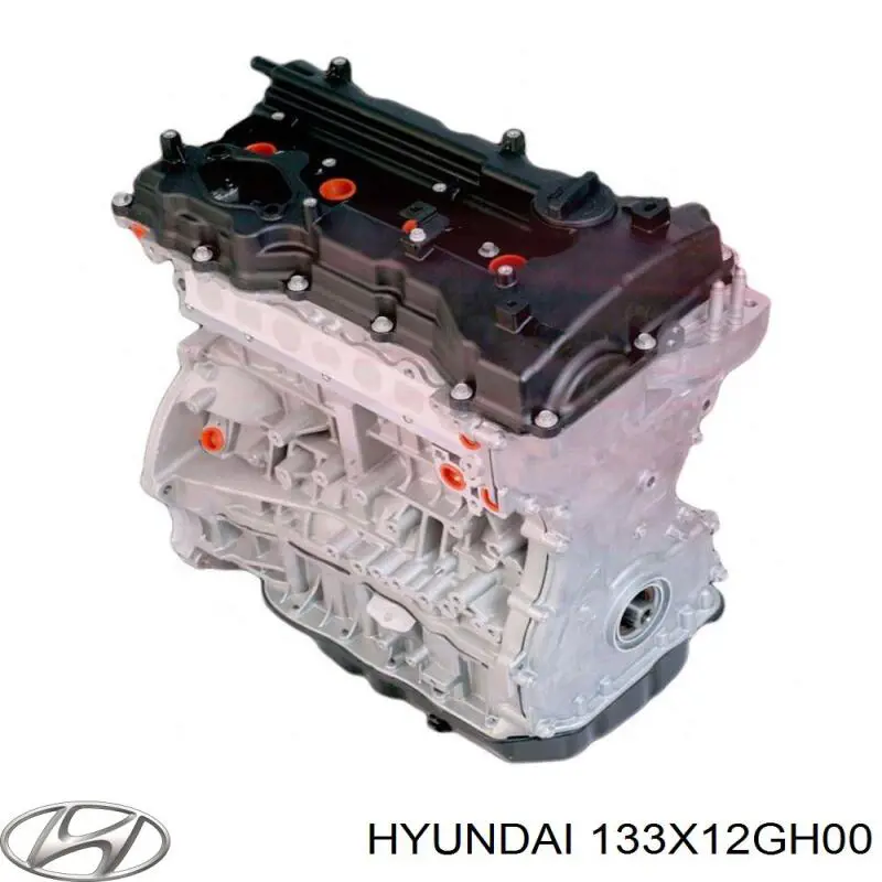  133X12GH00 Hyundai/Kia