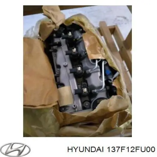 Купить 137F12FU00 Hyundai/Kia Двигатель голый