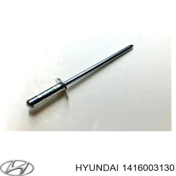  1416003130 Hyundai/Kia