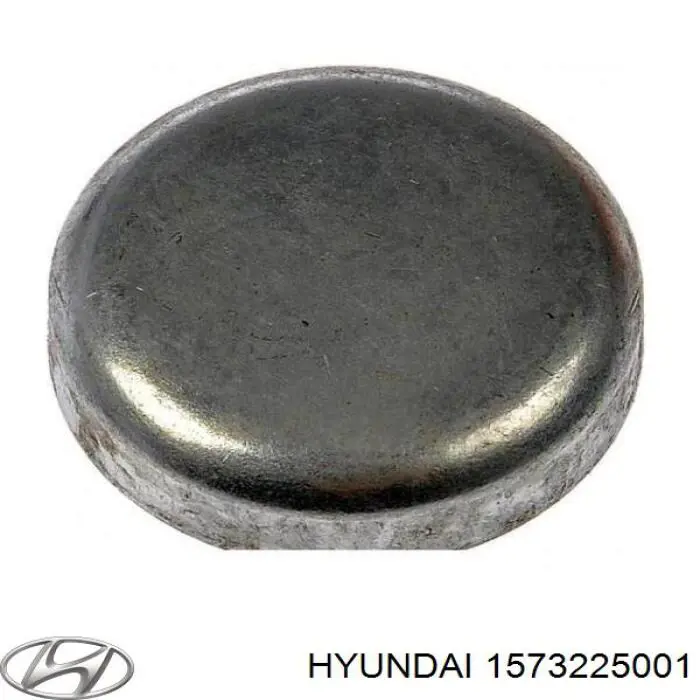 1573225001 Hyundai/Kia tampão cbc/do bloco de cilindros