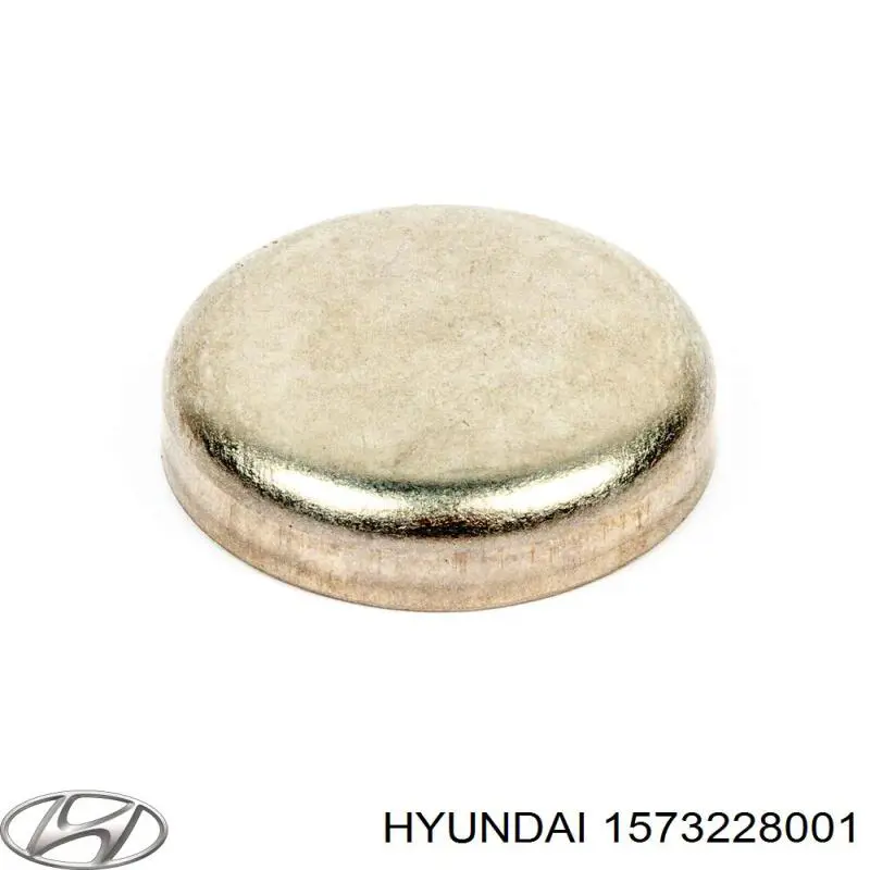 1573228001 Hyundai/Kia заглушка гбц/блока цилиндров