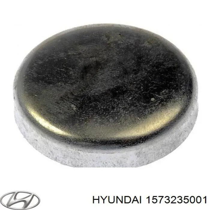 1573235001 Hyundai/Kia 