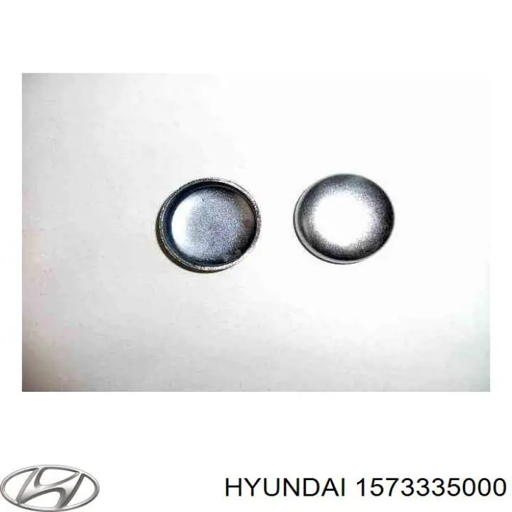 1573235007B Hyundai/Kia заглушка гбц/блока цилиндров
