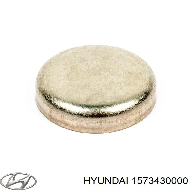 1573430000 Hyundai/Kia заглушка гбц/блока цилиндров