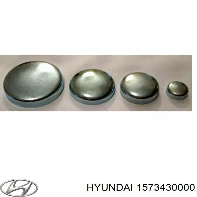 1573430000 Hyundai/Kia