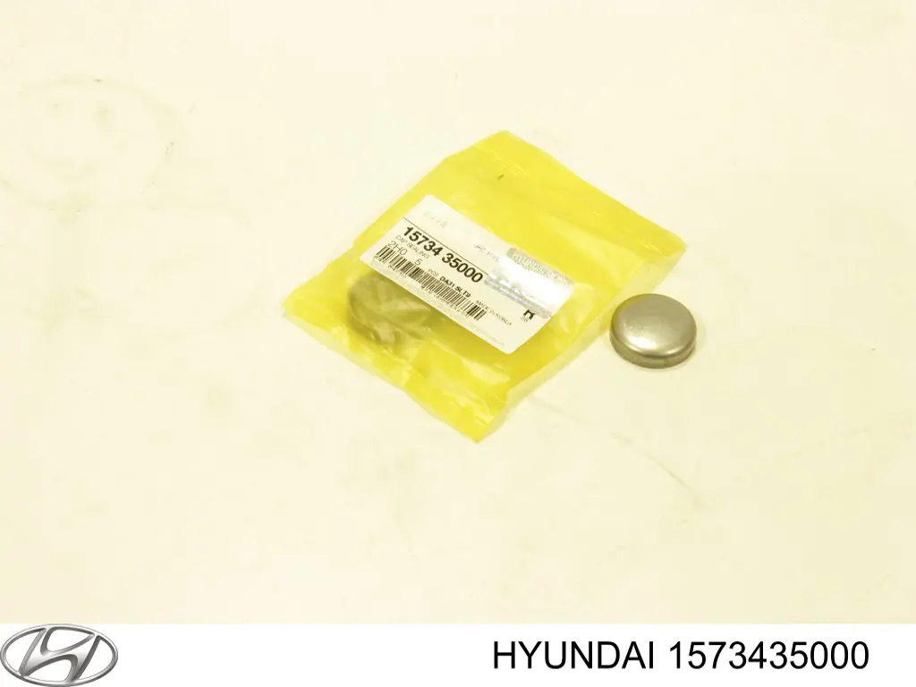 1573435000 Hyundai/Kia заглушка гбц/блока цилиндров