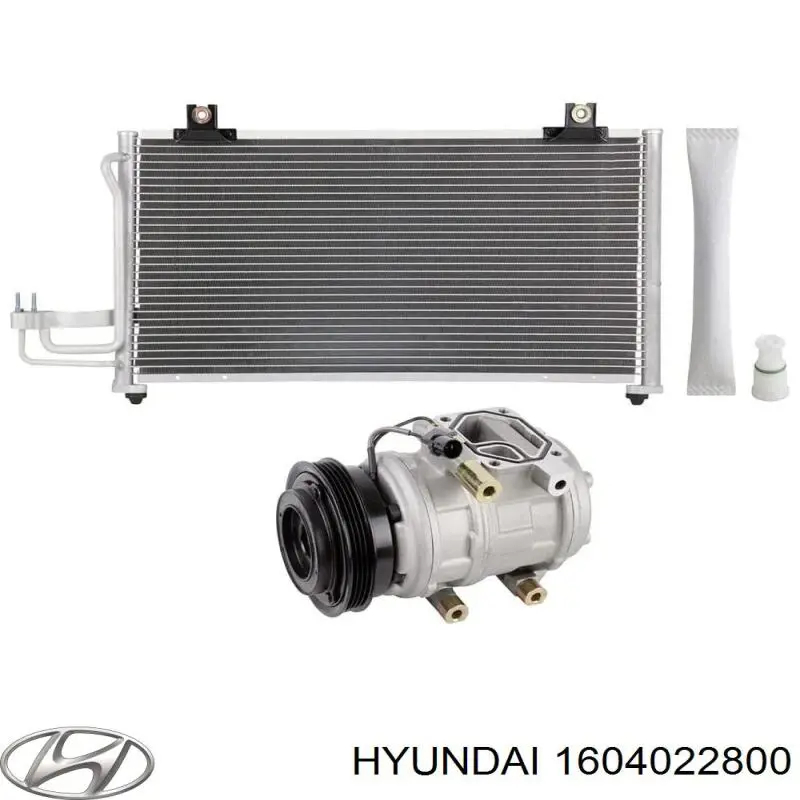 Компрессор системы кондиционирования Hyundai/Kia 1604022800 цена, от 254.80 USD