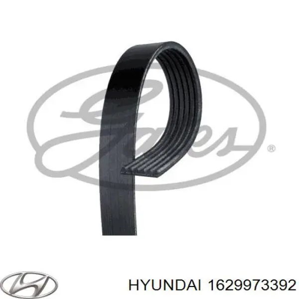 1629973392 Hyundai/Kia ремень генератора