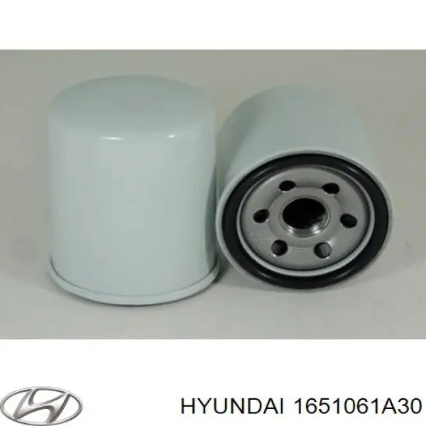 Масляный фильтр 1651061A30 Hyundai/Kia