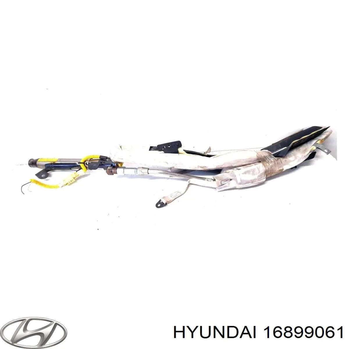 16899061 Hyundai/Kia 