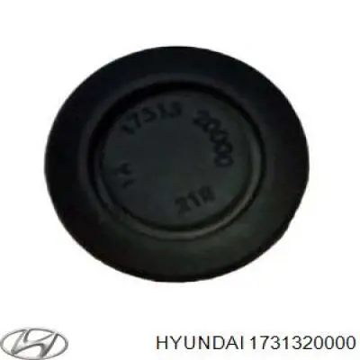 1731320000 Hyundai/Kia 