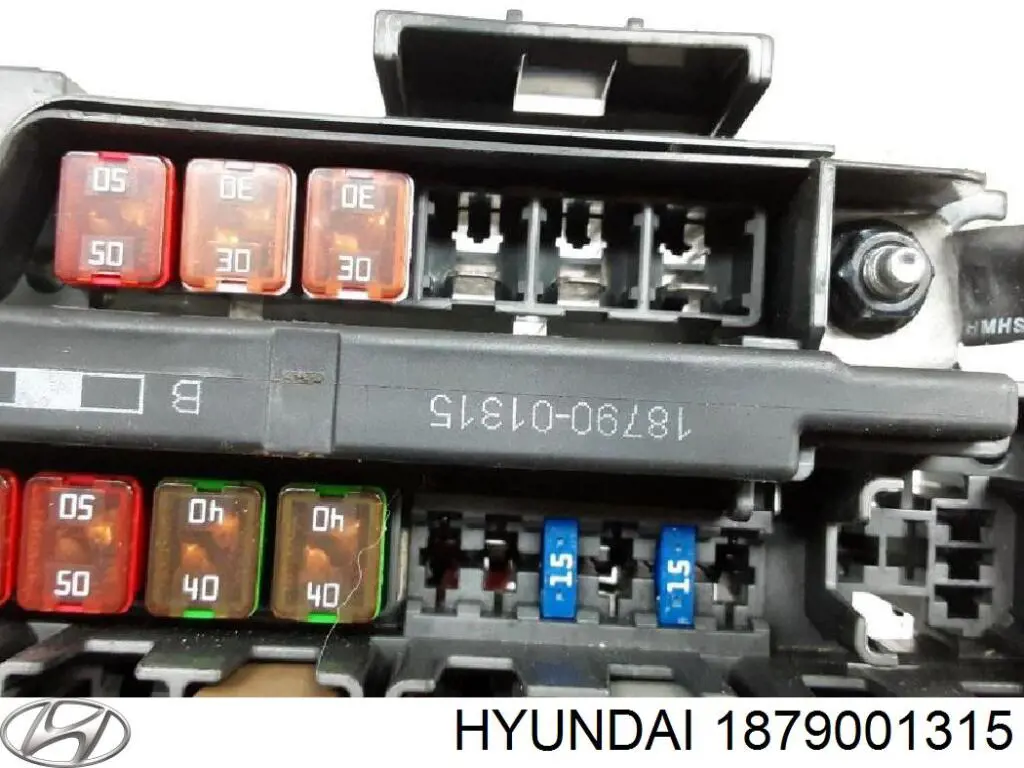 1879001315 Hyundai/Kia 