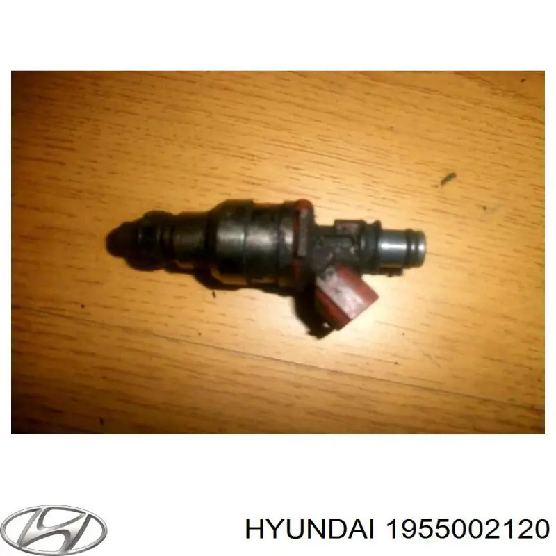 1955002120 Hyundai/Kia 