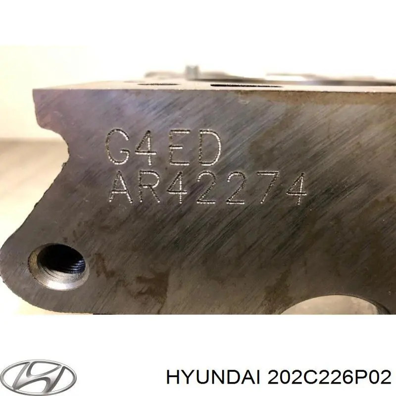 113C126P13 Hyundai/Kia 