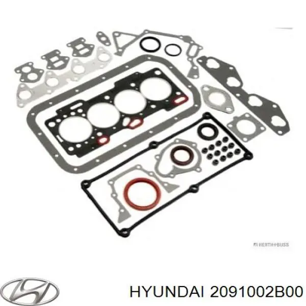 2091002B00 Hyundai/Kia комплект прокладок двигателя полный
