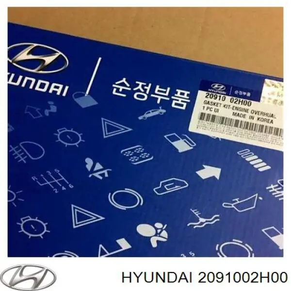 2091002H00 Hyundai/Kia комплект прокладок двигателя полный