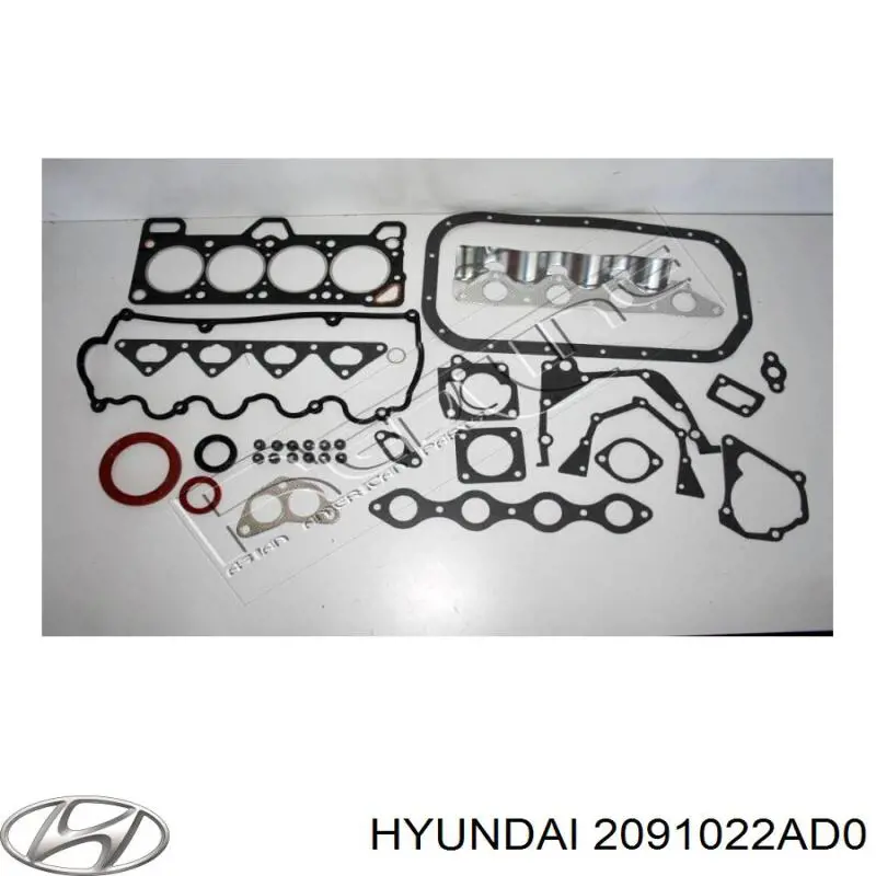 2091022AD0 Hyundai/Kia комплект прокладок двигателя полный