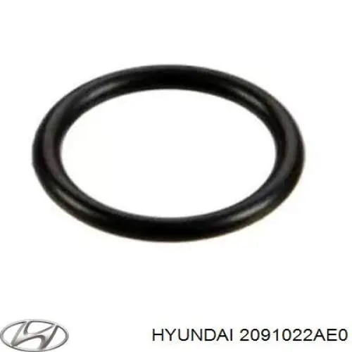 2091022AE0 Hyundai/Kia комплект прокладок двигателя полный