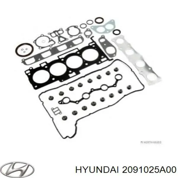 2091025A00 Hyundai/Kia комплект прокладок двигателя полный