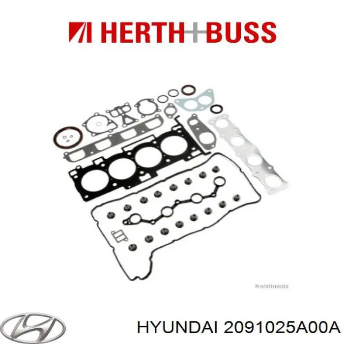 Комплект прокладок двигателя 2091025A00A Hyundai/Kia