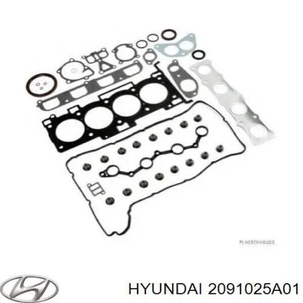 2091025A01 Hyundai/Kia комплект прокладок двигателя полный