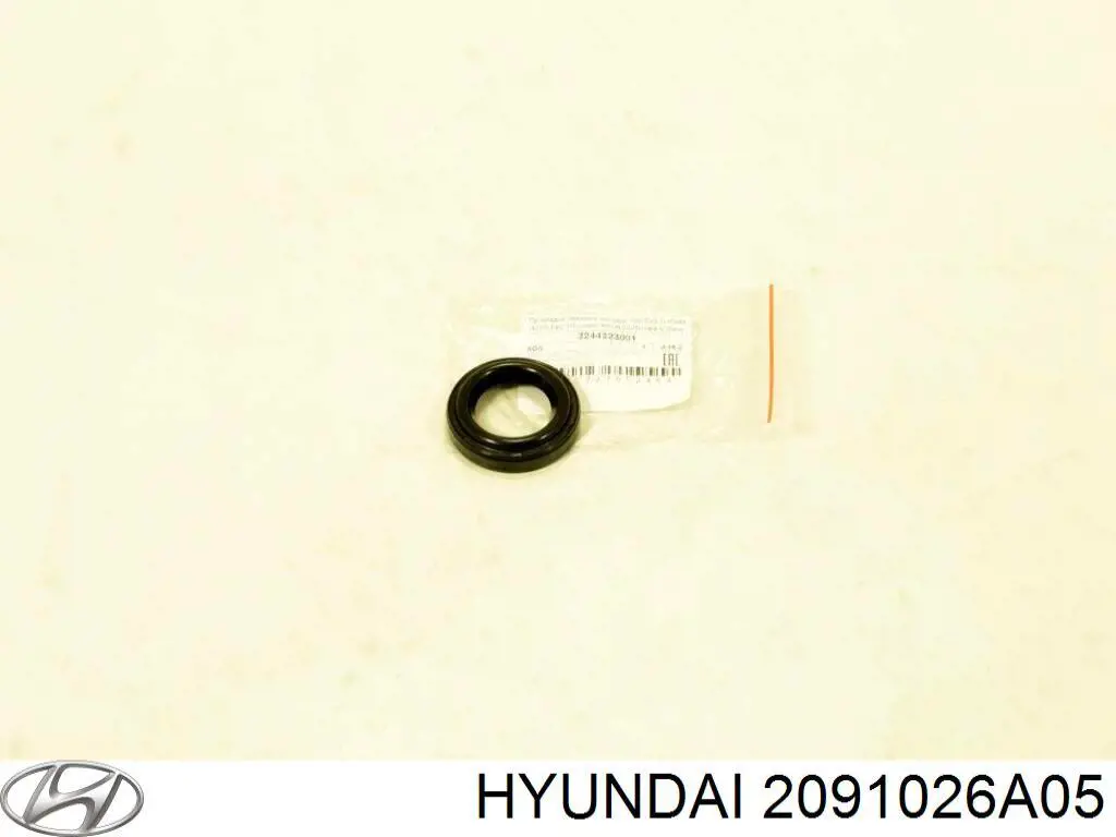 2091026A05 Hyundai/Kia комплект прокладок двигателя полный