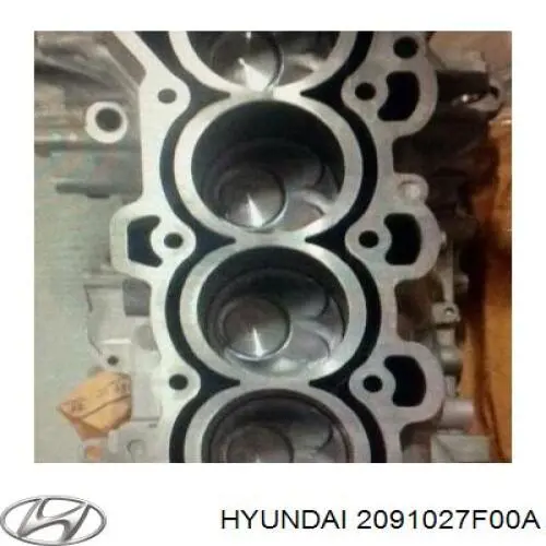 Купить 2091027F00A Hyundai/Kia Полный комплект прокладок