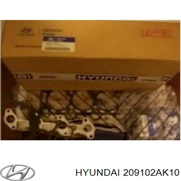 Комплект прокладок двигателя 209102AK10 Hyundai/Kia