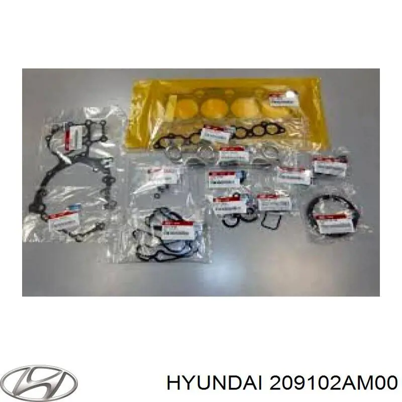 209102AM00 Hyundai/Kia комплект прокладок двигателя полный