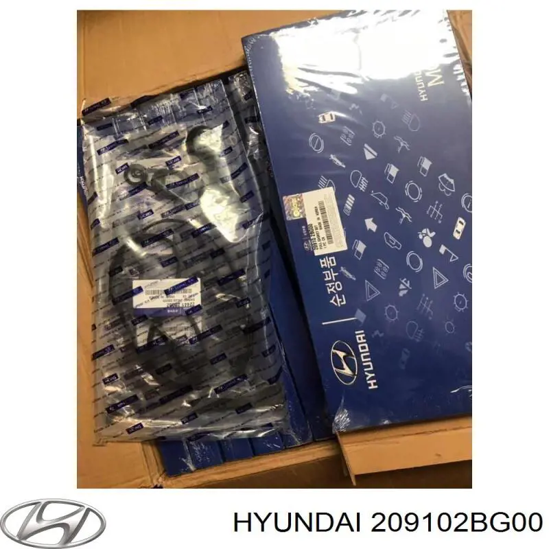 209102BG00 Hyundai/Kia kit de vedantes de motor completo