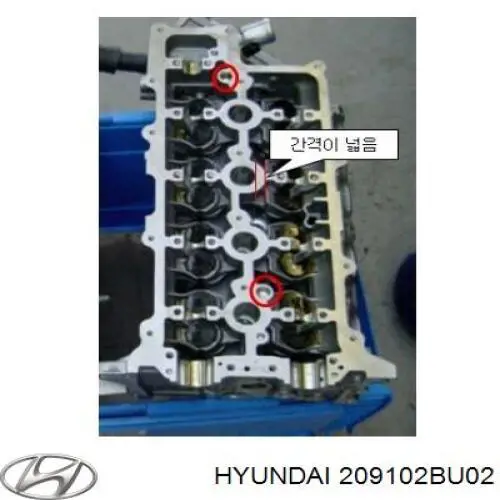Комплект прокладок 209102BU02 Hyundai/Kia