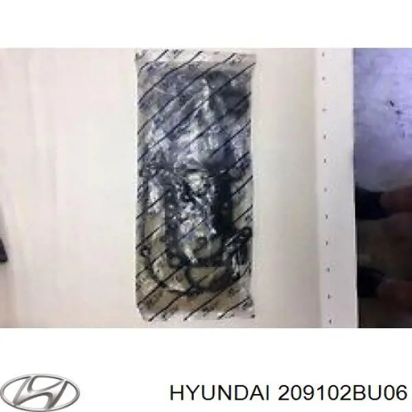  209102BU06 Hyundai/Kia