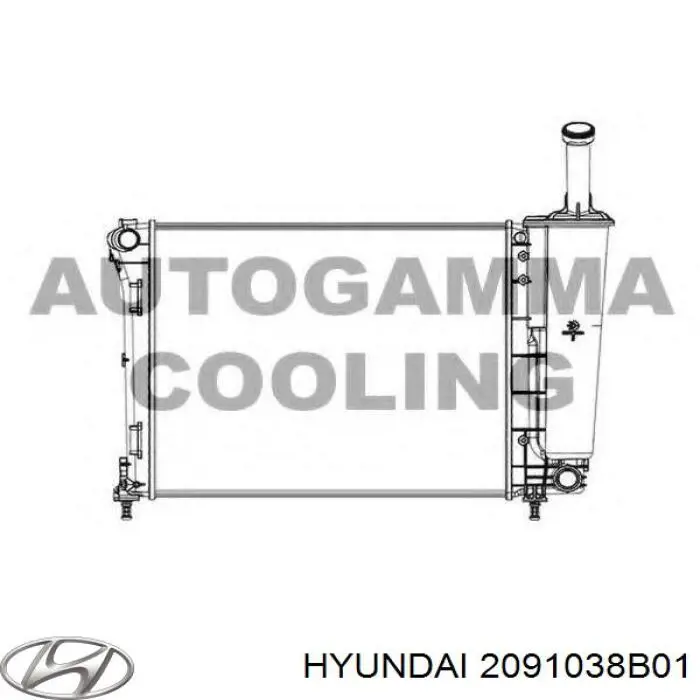 2091038B01 Hyundai/Kia комплект прокладок двигателя полный